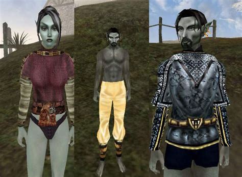 morrowind coop mod|must have mods for morrowind.